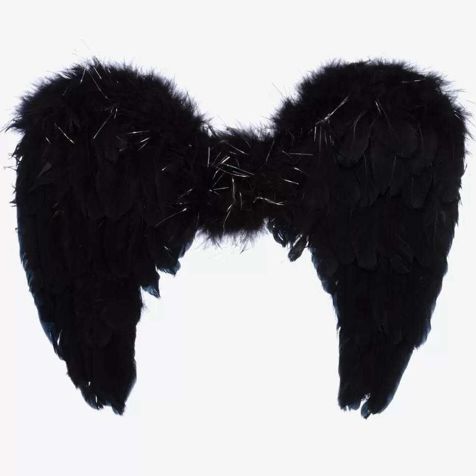 Souza Black Feather Wings^BOY Costumes