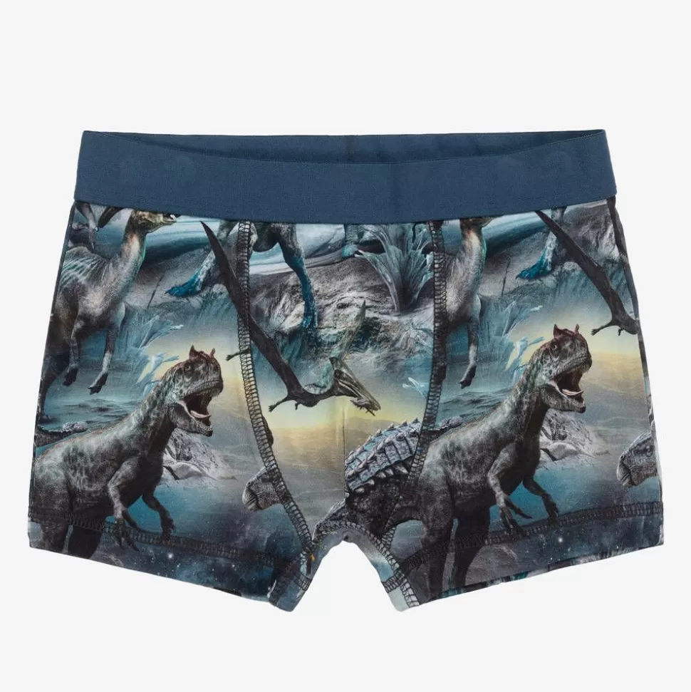 Molo Boys Blue Cotton Dinosaur Boxers (2 Pack)^BOY Underwear