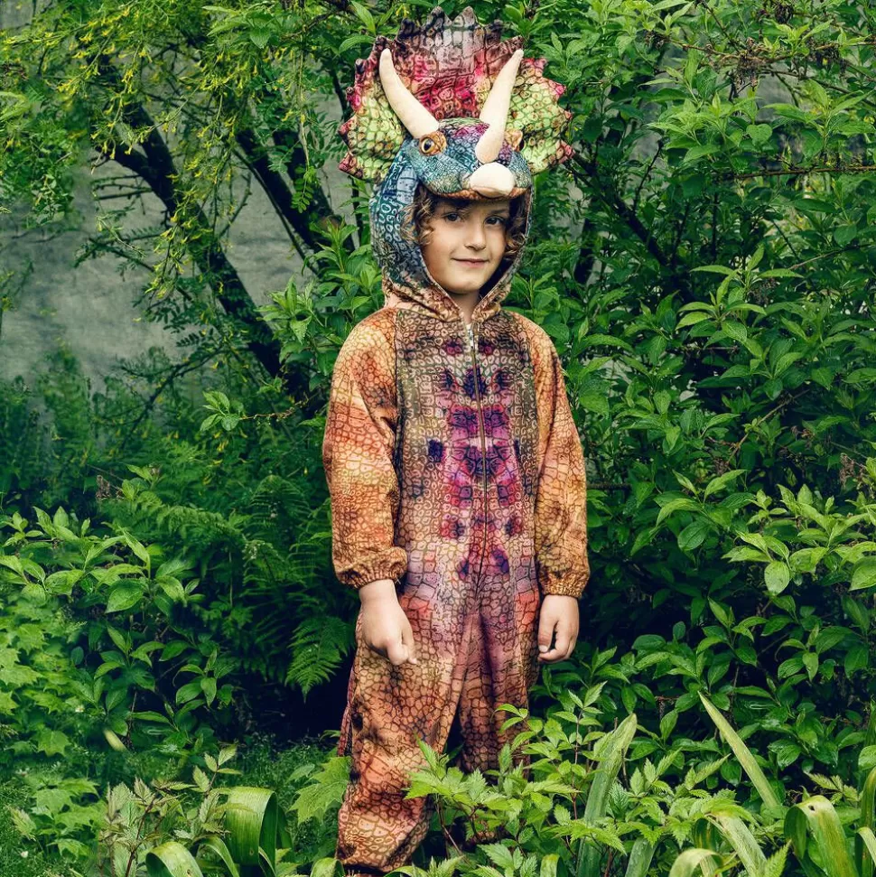 Souza Green & Brown Dinosaur Costume^BOY Costumes | Costumes